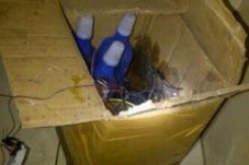 Dandim Depok Minta Masyarakat...