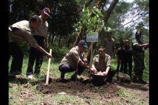 Jalur ke Gunung Lawu...