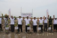 Hutan Toyota Hijaukan...