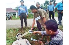 Puas Setelah Minum Darah...