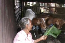 Nenek 70 Tahun Tidur...