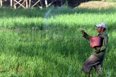 Petani Keberatan Larangan...