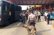 Ratusan Pelanggar Ketertiban...