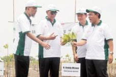 Toyota Tanam 230.000...