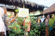 Program CSR Pusri di...