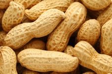 Kacang Tanah Dapat Cegah...