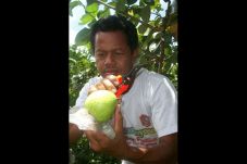 Permintaan Naik, Petani...