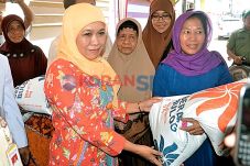 OP Gencar, Harga Beras...