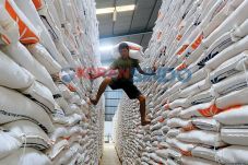 Kenaikan Harga Beras...
