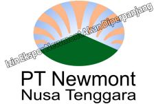 Izin Ekspor Newmont...