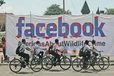 Kini Satwa Liar Diperdagangkan...
