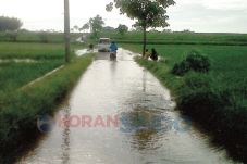 Banjir Rendam Puluhan...