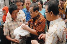 Harga Beras Belum Terkendali
