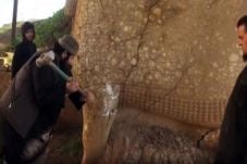 ISIS Jarah dan Hancurkan...