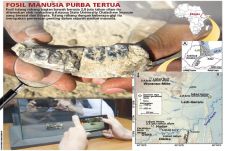 Manusia Pertama Ditemukan...