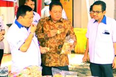 PNM Gelontori UKM di...