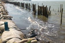 DPR: Pelabuhan Cilamaya...