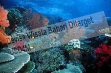 Devisa Wisata Bahari...