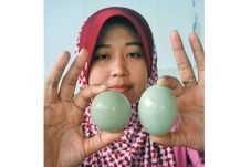 Telur Bebek Bulat Bikin...