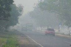 23 Anak di Jatim Meninggal...