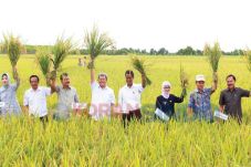 Indramayu Nyatakan Siap...