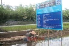 Pengembangan Udang Galah...