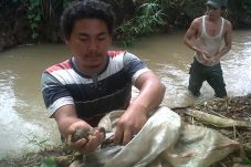 Cari Batu Akik, Sungai...