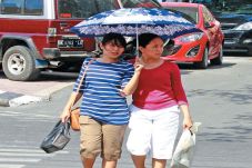 Musim Pancaroba, DBD...