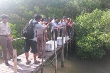 138 Ekor Kepiting Asal...