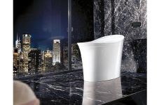 Kohler, Toilet yang...