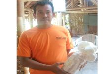 Sukses Berwirausaha...