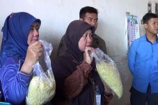Pemkab Batang Razia...