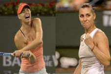 Oh...Pennetta Buat Sharapova...