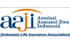 Pendapatan Asuransi...