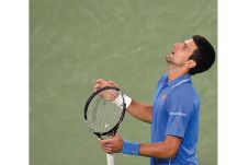 Peluang Djokovic