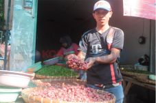 Kenaikan Harga Bawang...