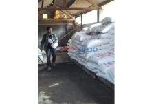Membidik Pupuk Subsidi