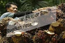 Pungutan Ekspor Sawit...