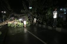 Hujan dan Angin Kencang...