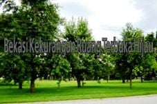 Bekasi Kekurangan Ruang...