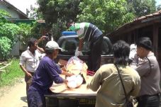 Ibu Muda Tewas saat...