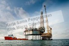 Kerja Sama Pengelolaan...