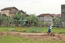 Pemda DIY Hanya Sanggup...