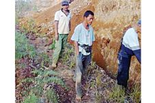 Ratusan Petani Bisa...