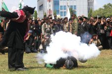 Pagar Nusa Apel Setia...