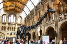 Natural History Museum...