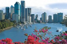 Aktivitas Seru di Brisbane