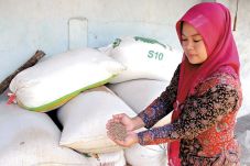 Petani Minta Pemerintah...
