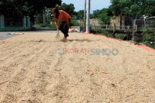 Petani Khawatir Harga...
