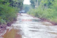 Jalan Poros Desa Nyaris...